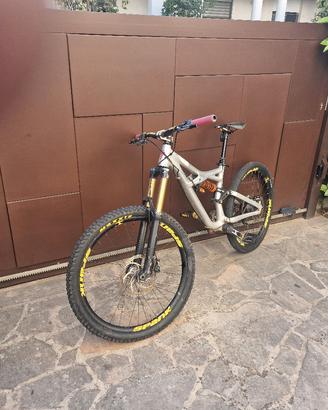 SPECIALIZED