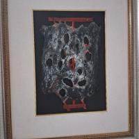 BRUNO CARACENI..Combustione