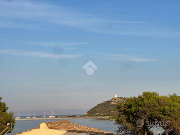 VILLA A SCHIERA A VILLASIMIUS