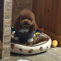 Mini toy 19/20 cm per monta