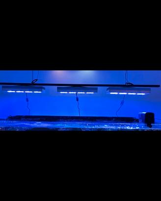 Sistema di sospensione per lampada AI Hydra