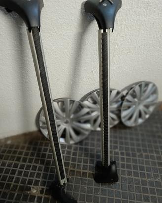 Portapacchi C4 Picasso originale