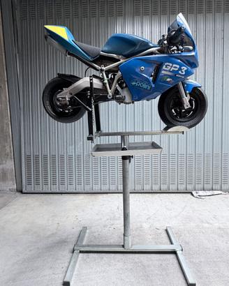 Minimoto Polini GP3 Reverse