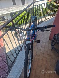 bici 28