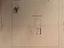 Immagine 29