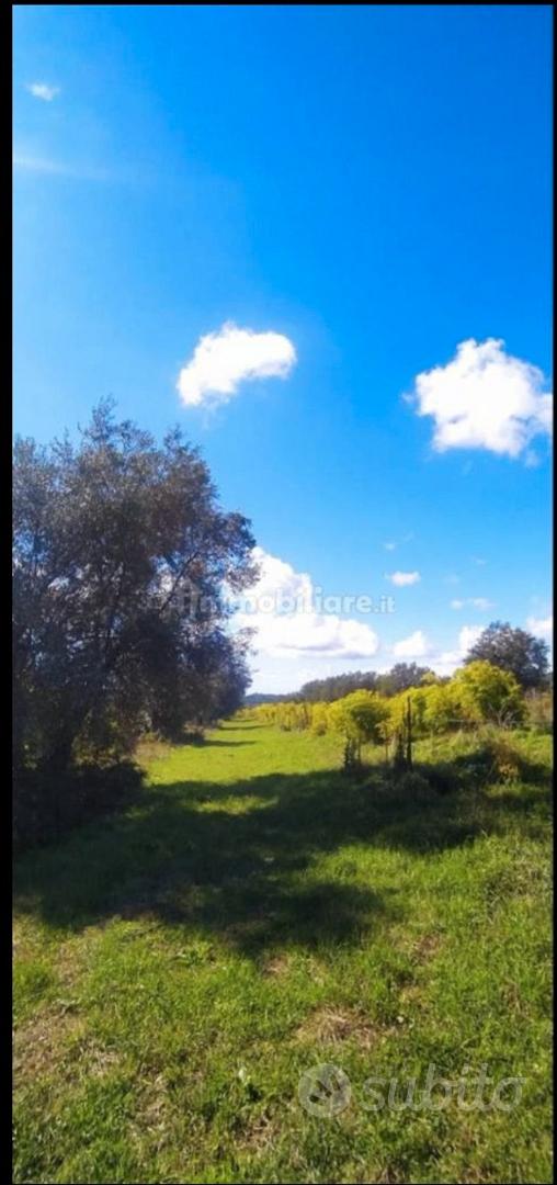 Terreno tuscia Canino (viterbo) - Vista 2