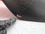 Immagine 11