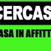 C.e.r.c.o casa in affitt