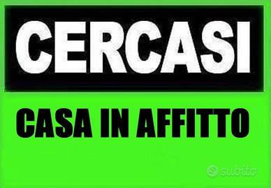 C.e.r.c.o casa in affitt