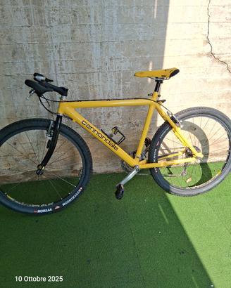 MTB Cannondale