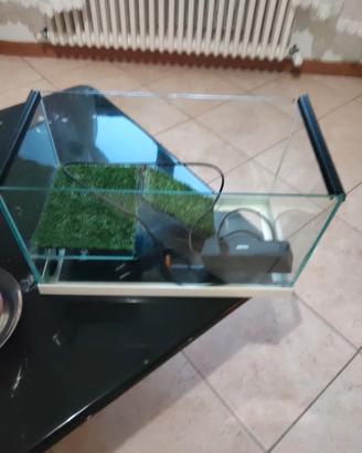 acquario 