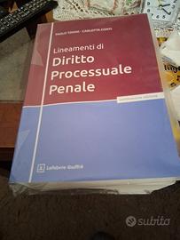 paolo tonino carlotta conti lineamenti di diritto 