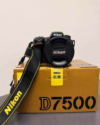 Nikon D7500 + Obiettivo Grandangolare 10-20mm