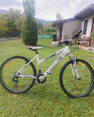 mountain bike Bianchi Duel