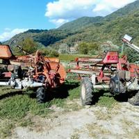 2 motoranghinatori BCS diesel e benzina