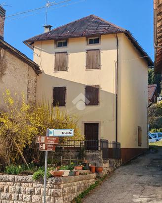 CASA SEMINDIPENDENTE A ROANA