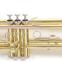 Tromba Roy Benson Rb701050 in Sib