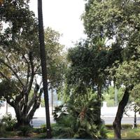 Corso Vittorio Emanuele III