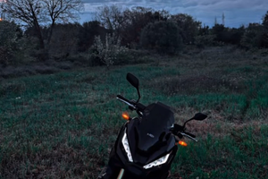 X adv depotenizato a2