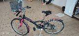 Bicicletta per ragazza, misura 14