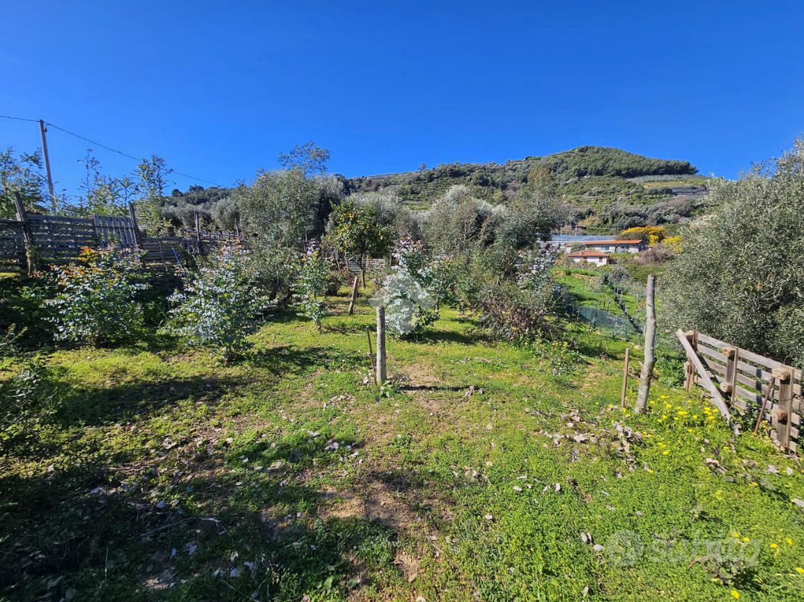 TER. AGRICOLO A TAGGIA - Vista 2