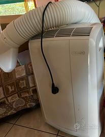 Climatizzatore Pinguino