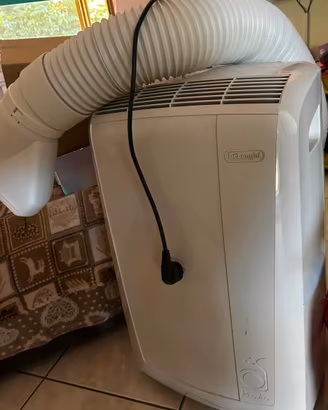 Climatizzatore Pinguino