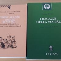 I ragazzi della via pal libro