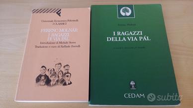 I ragazzi della via pal libro