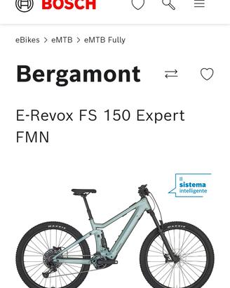 ebaik bergamont 