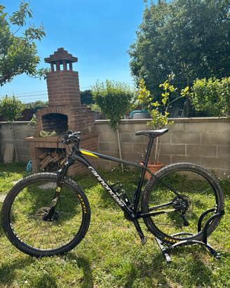 mtb cannondale 29
