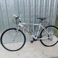 Bici mtb