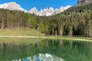 Appartamenti lago di Molveno Dolomiti Brenta Bike