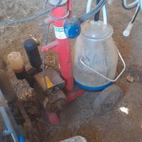 mingitrice a carrello