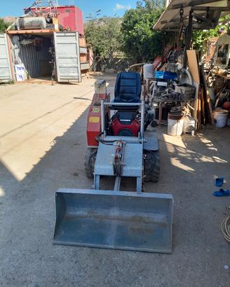 trattorino pulisci spiagge e giardini 