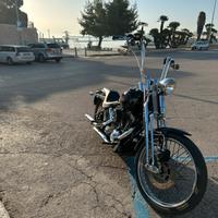 Harley softail springer - perfetta