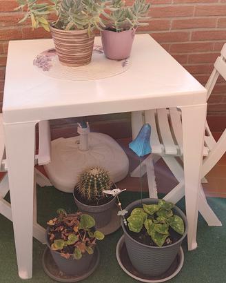 Tavolo giardino nuovo.