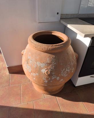 Orci toscani