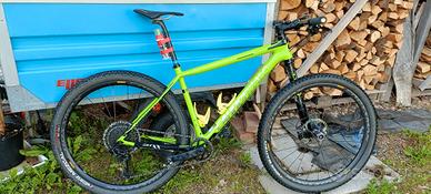 cannondale FSI team