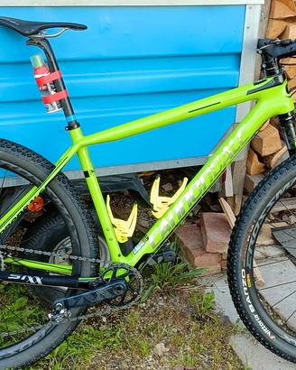 cannondale FSI team