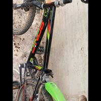 bici  20 iguana "lombardo"