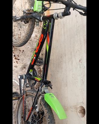 bici  20 iguana "lombardo"
