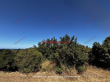 Terreno, Ciaculli - Croce Verde, Palermo.