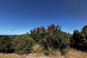 Terreno, Ciaculli - Croce Verde, Palermo.