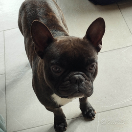 Bernardo vorrebbe una fidanzata