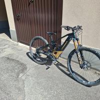 Orbea Wild 2022