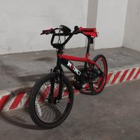 Bmx Insict