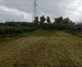 Terreno agricolo