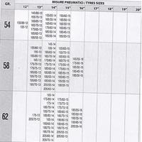Calze da neve per auto