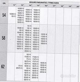 Calze da neve per auto